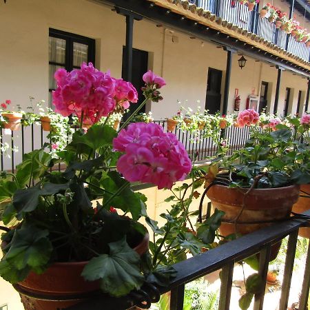 Ferienwohnung Apartamento Alameda Sevilla Exterior foto